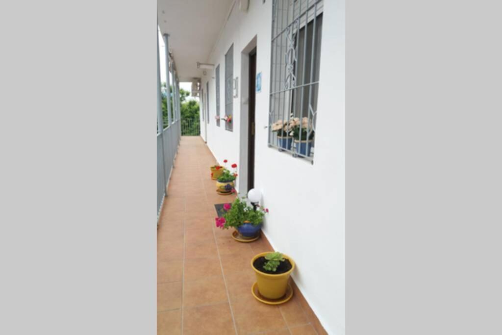 Apartamento Al-Zhara, Junto Puente Romano Apartment Córdoba Exterior foto